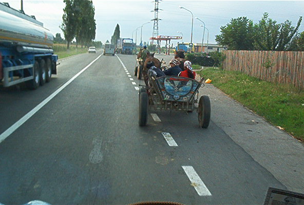 roste568.jpg