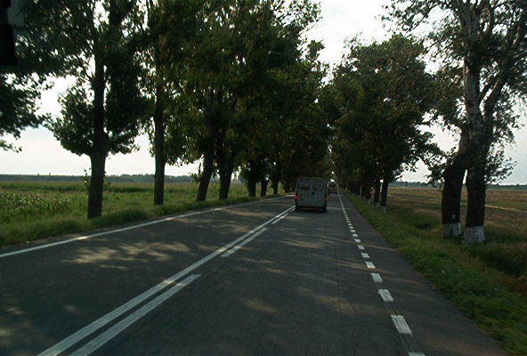 roste569.jpg