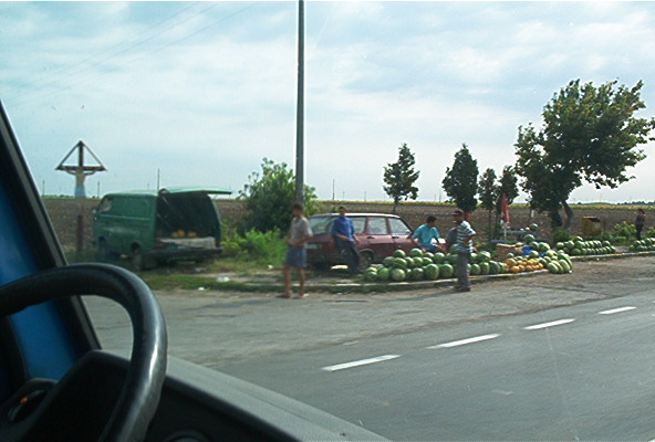 roste572.jpg