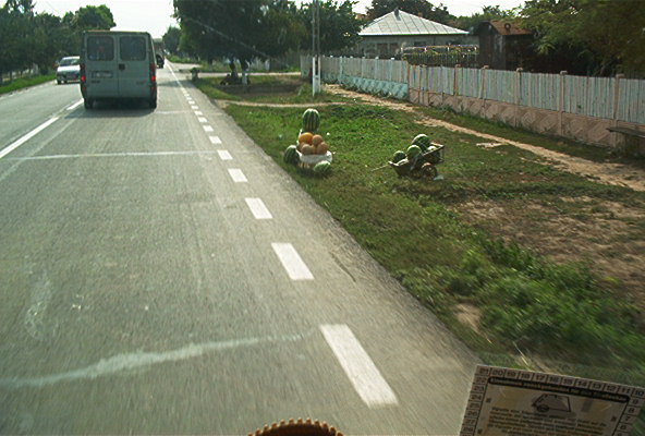 roste573.jpg