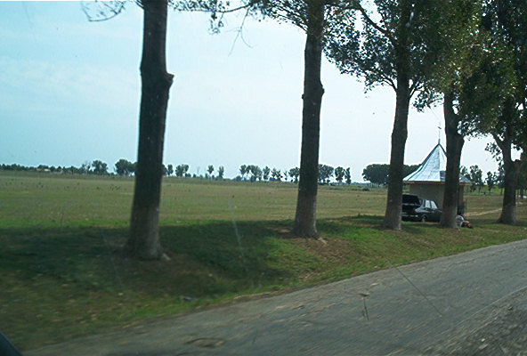 roste579.jpg