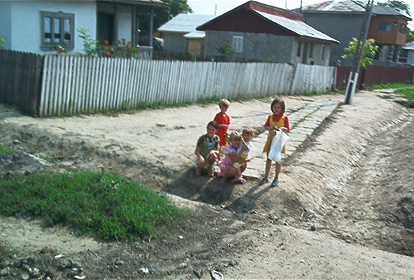 roste580.jpg