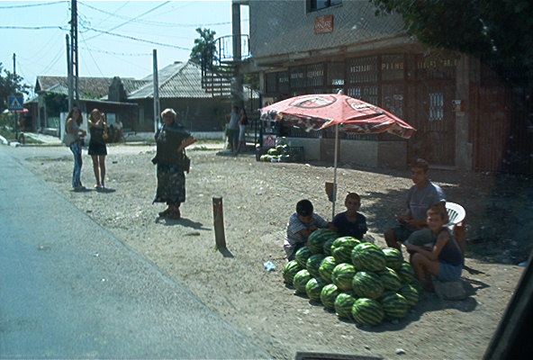 roste582.jpg