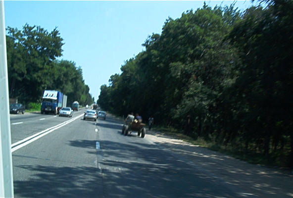 roste585.jpg