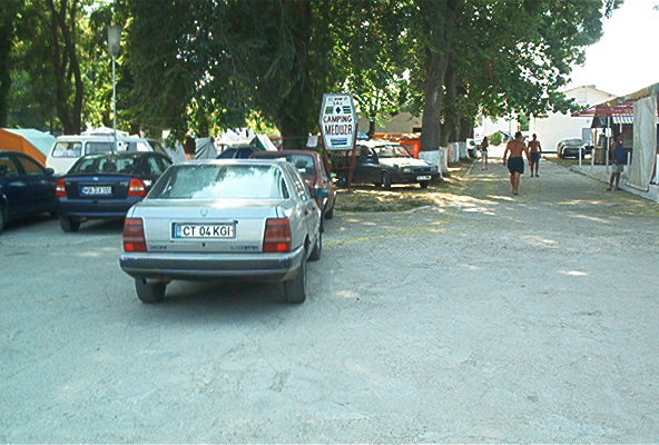 roste589.jpg