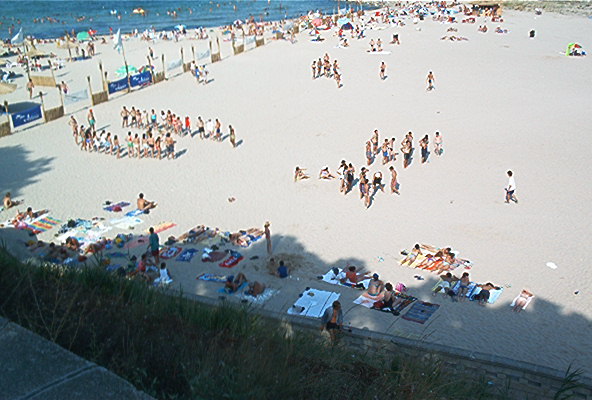 roste681.jpg