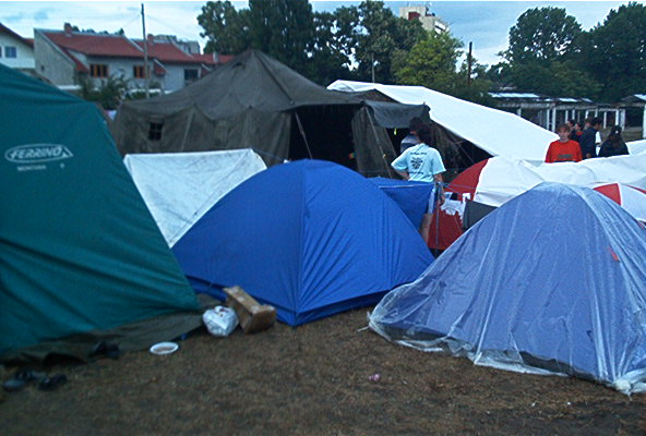 roste735.jpg