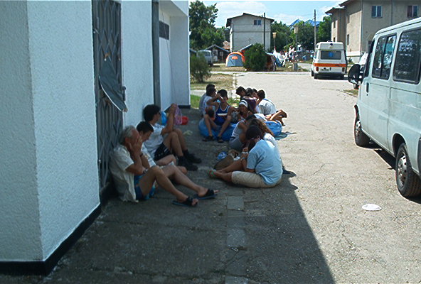 roste739.jpg