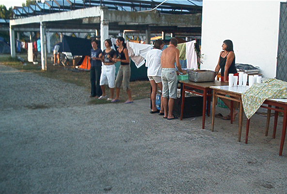 roste768.jpg