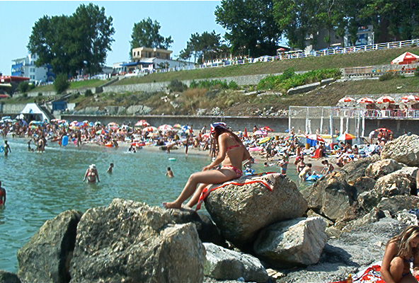 roste799.jpg