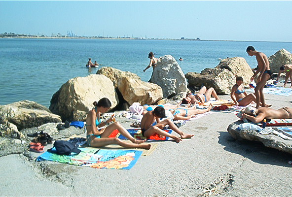 roste802.jpg