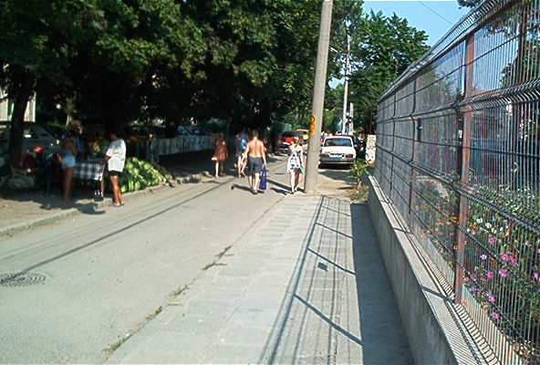 roste805.jpg