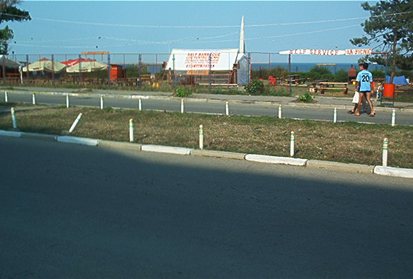 roste806.jpg