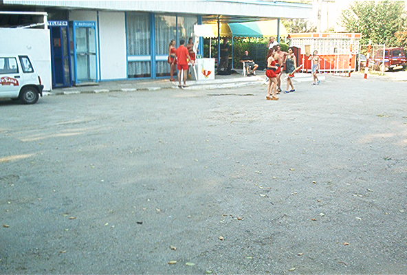 roste807.jpg