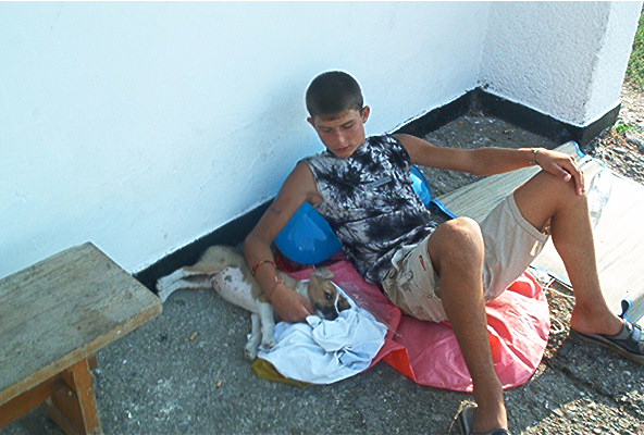 roste809.jpg