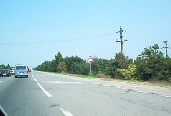 roste843.jpg