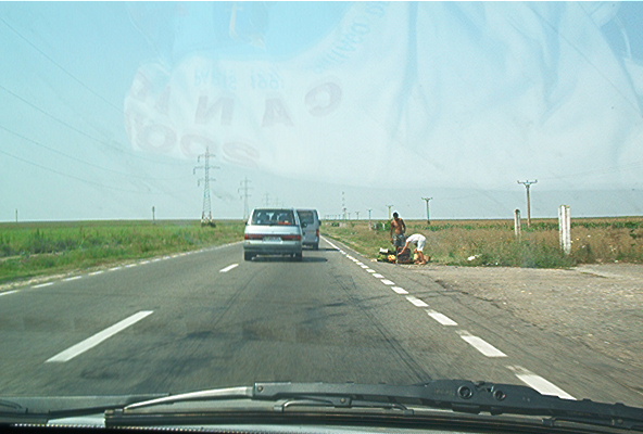 roste850.jpg