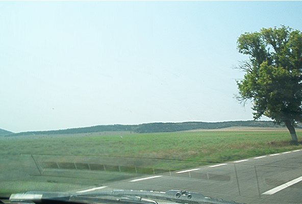 roste855.jpg