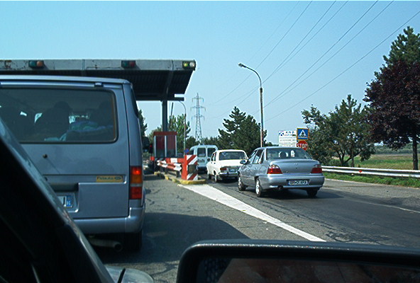 roste858.jpg