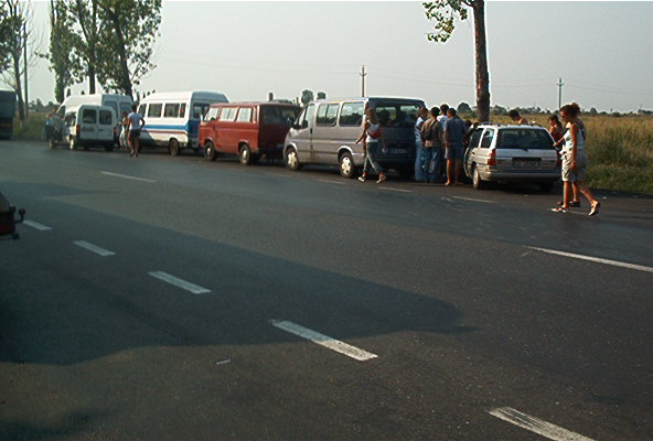 roste862.jpg