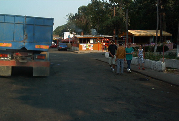 roste863.jpg