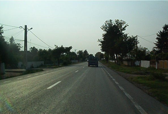 roste866.jpg