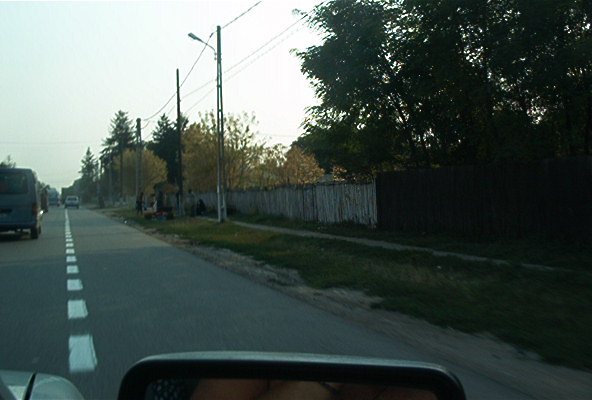 roste868.jpg