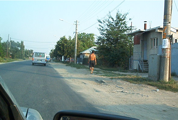 roste873.jpg