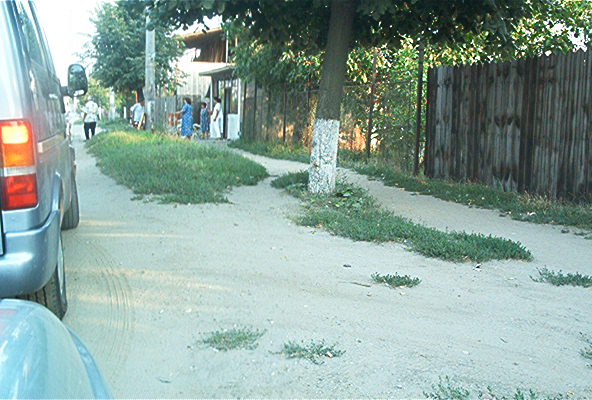 roste874.jpg
