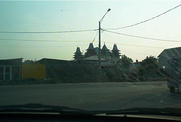 roste875.jpg