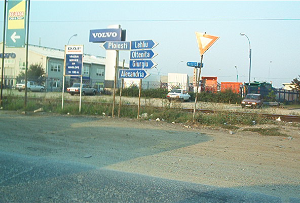 roste876.jpg