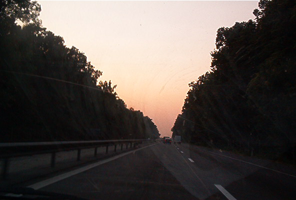roste878.jpg