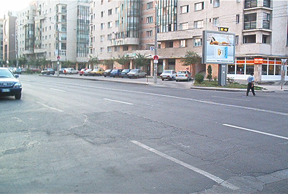 roste880.jpg