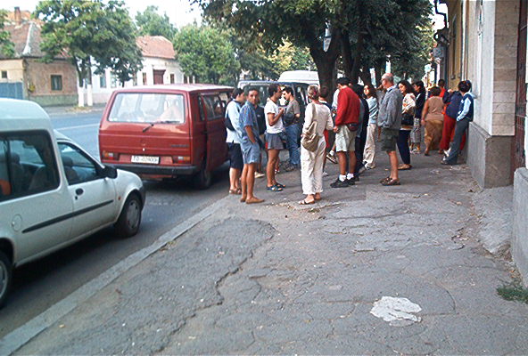 roste881.jpg