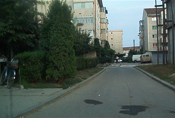 roste886.jpg