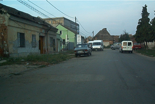roste888.jpg