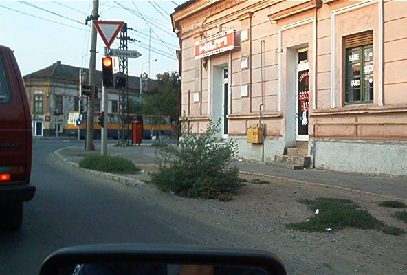 roste890.jpg