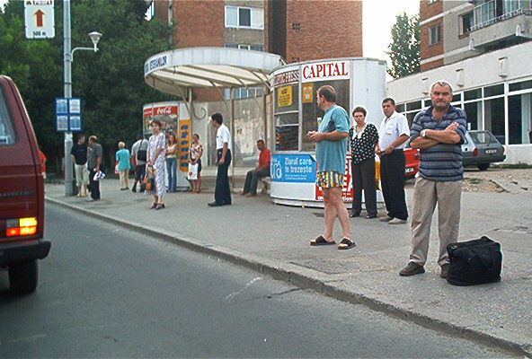roste892.jpg