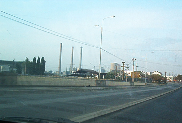 roste893.jpg