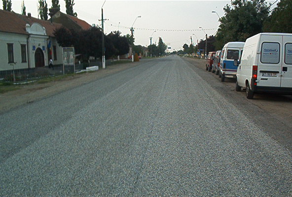 roste894.jpg
