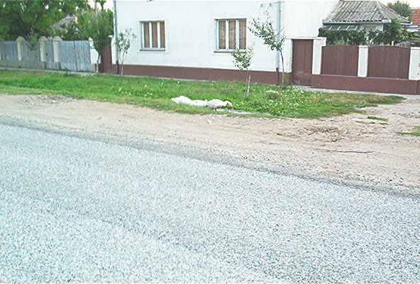 roste895.jpg