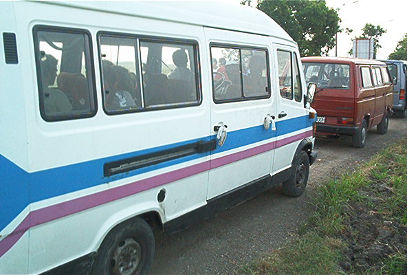 roste896.jpg