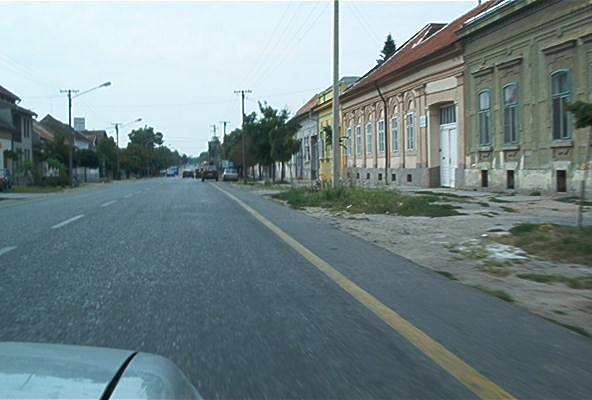 roste901.jpg