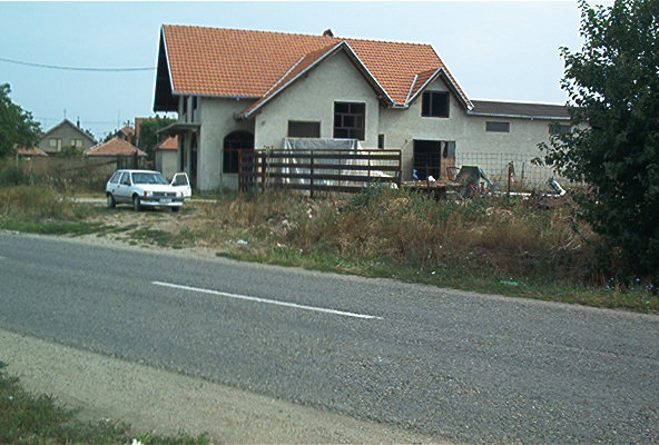 roste903.jpg