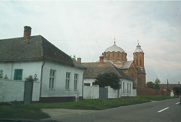 roste905.jpg