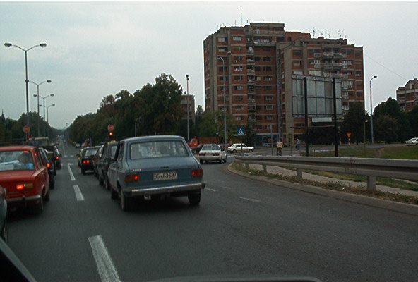 roste906.jpg