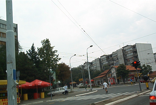 roste912.jpg