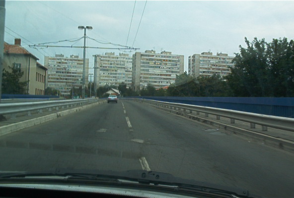 roste914.jpg