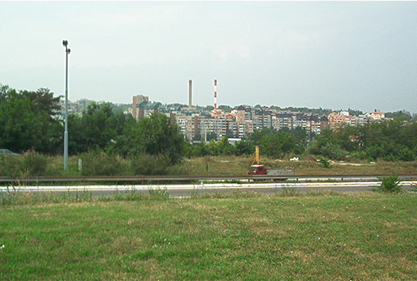 roste917.jpg