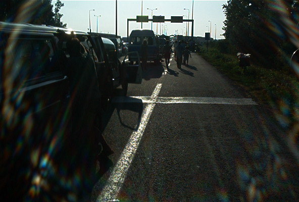roste924.jpg
